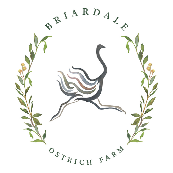 Briardale Ostrich Farms