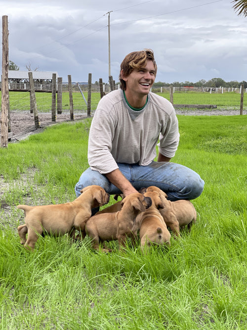 Briardale Ostrich Farm Our Story Briardale Ostrich Farms
